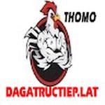 Đá Gà Trực Tiếp