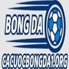 Cá cược bóng đá