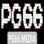Pg66 media