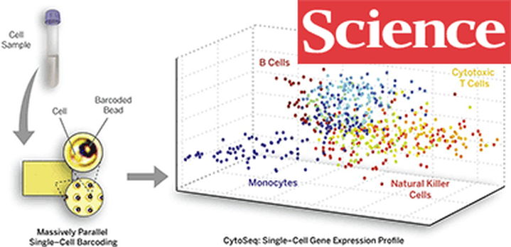 Sci+Nat: Дайджест за первую неделю февраля-2015