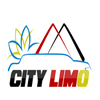 City Limousine Service Ltd