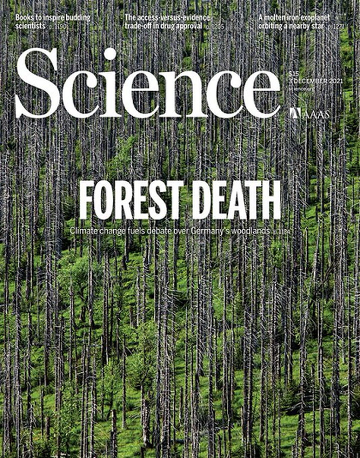 SciNat за декабрь 2021 #1: искусственная бластоциста, как клетки спасаются мутациями от апоптоза и бактерии, инактивирующие не только антибиотики