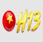 H13