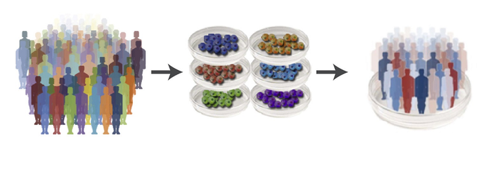 Вилладж ин зе диш