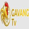 Gavang TV