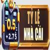 Tỷ Lệ Nhà Cái