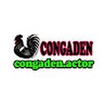 ĐÁ GÀ TRỰC TIẾP CONGADENACTOR
