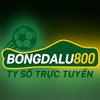 Bongdalu800 Bongdalu