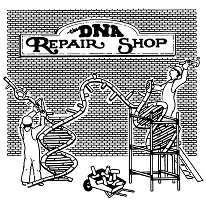 РНК-зависимая репарация ДНК