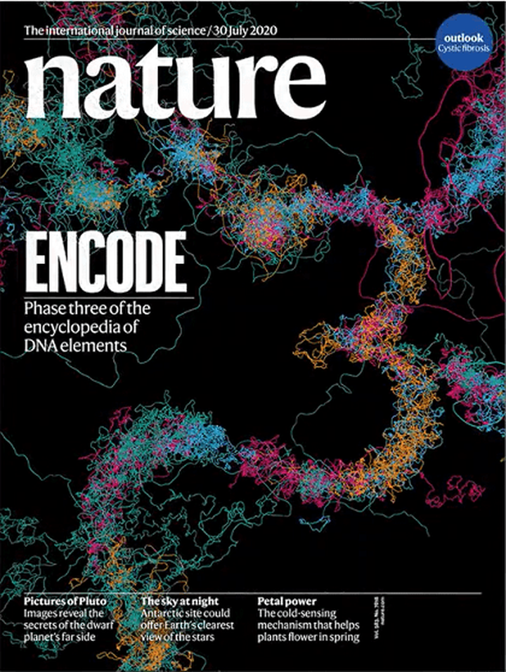 SciNat за июль 2020 #5: ENCODE, альпийская флора Тибета и молекулярные часы гепатоцитов