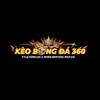 Kèo Bóng đá 360