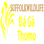 Đá Gà Trực Tiếp Thomo
