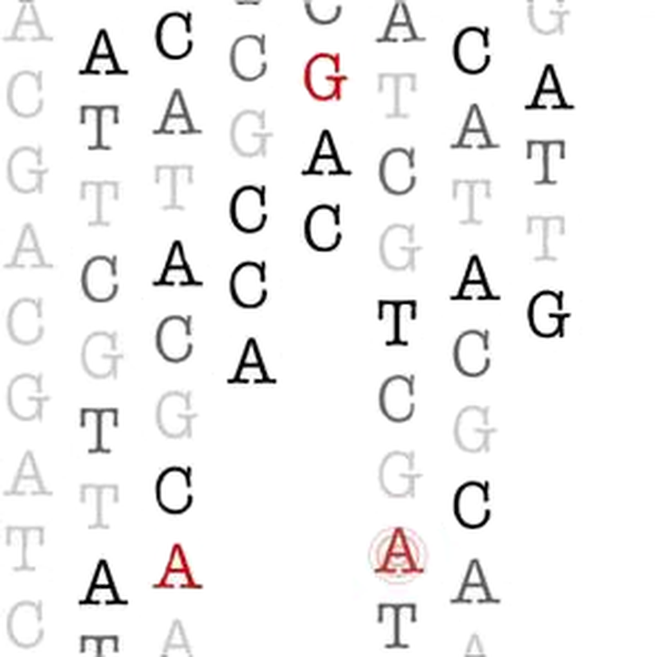В генетическом контакте