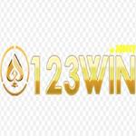 123win agency