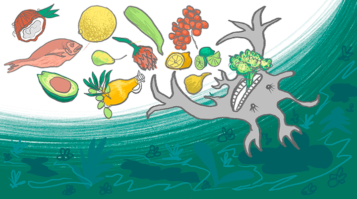 Чем заедать тоску? Механизмы антидепрессивного действия средиземноморской и кетогенной диет