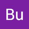 Bu T