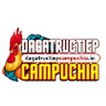 Đá Gà Trực Tiếp Campuchia Khám Phá Link Xem Đá Gà Thomo