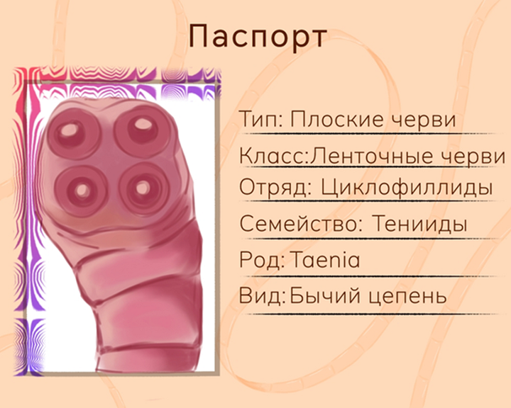 Дифференцировка паразитов с помощью нейросети: пилотный проект