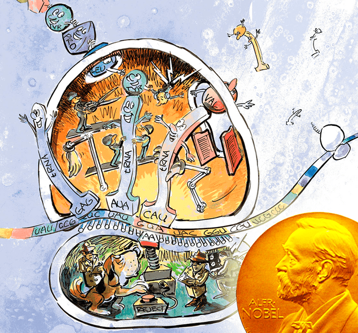 Белоксинтезирующая Нобелевская премия по химии (2009)