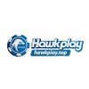 Hawkplay Top