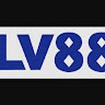 lv88 msrimdeasw