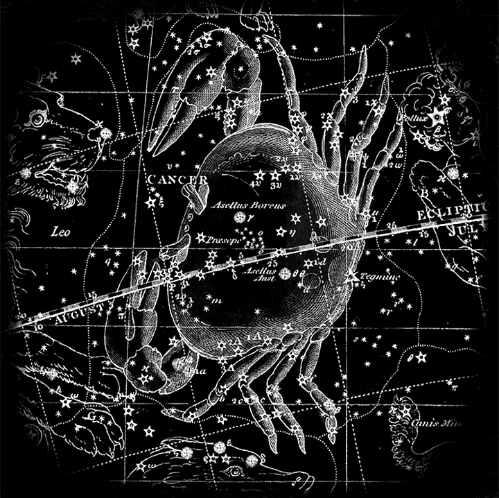 Страшней клешней на свете нет...