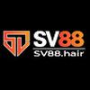 SV88