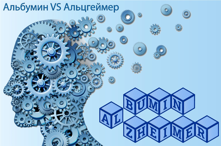 Альбумин VS Альцгеймер