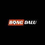 2026net bongdalu