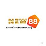 New88 knoxvilleobservers