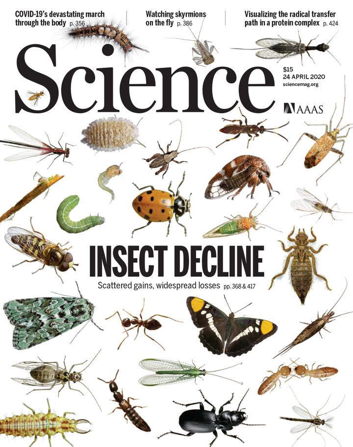 SciNat за апрель 2020 #4: ландшафт мутаций эндометрия, судьба транскриптов ВИЧ и структура ретротранслокона