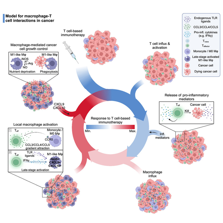 Кочующие трикстеры и охота на них