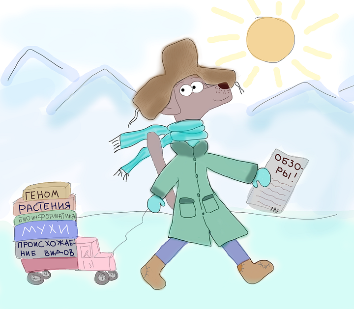 Галопом по обзорам: зимний марафон 2026