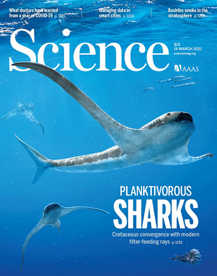 SciNat за март 2021 #3: гибридный мозг, РНК-реплицирующий рибозим и бактерии, живущие в меланомах