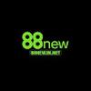 88New innet