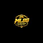ml8 8art