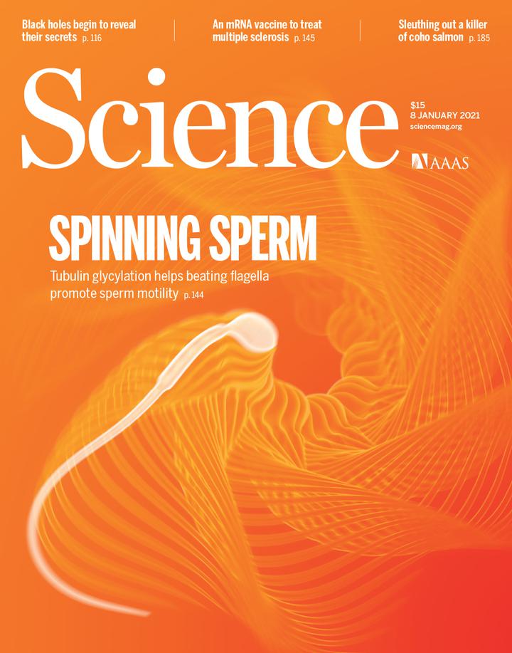 SciNat за январь 2021 #1: Лекарство от прогерии, 2D белковые полимеры и коэволюция ВИЧ