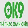 Lê Thành Công CEO OK9
