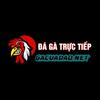 Gacuadao - Đá gà cựa dao