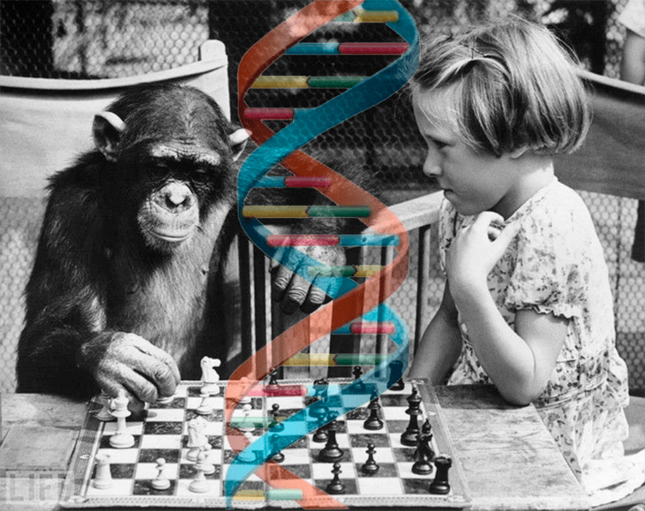 Эволюция человека — бег на короткую дистанцию