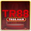 tr88 hair
