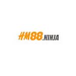HM88 ninja