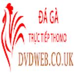 Đá Gà Trực Tiếp Thomo