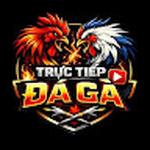 Trực Tiếp Đá Gà