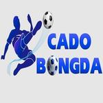 Cá Cược Bóng Đá dangkytycacuocbongda