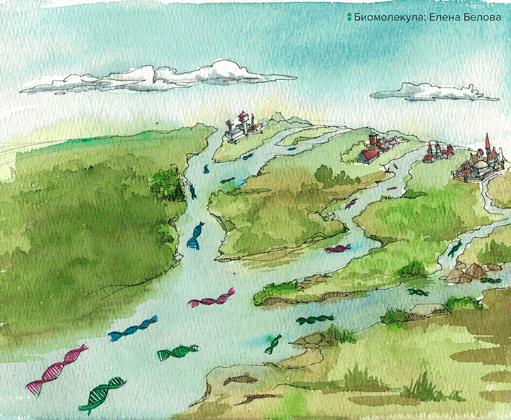 Щепки в потоке истории