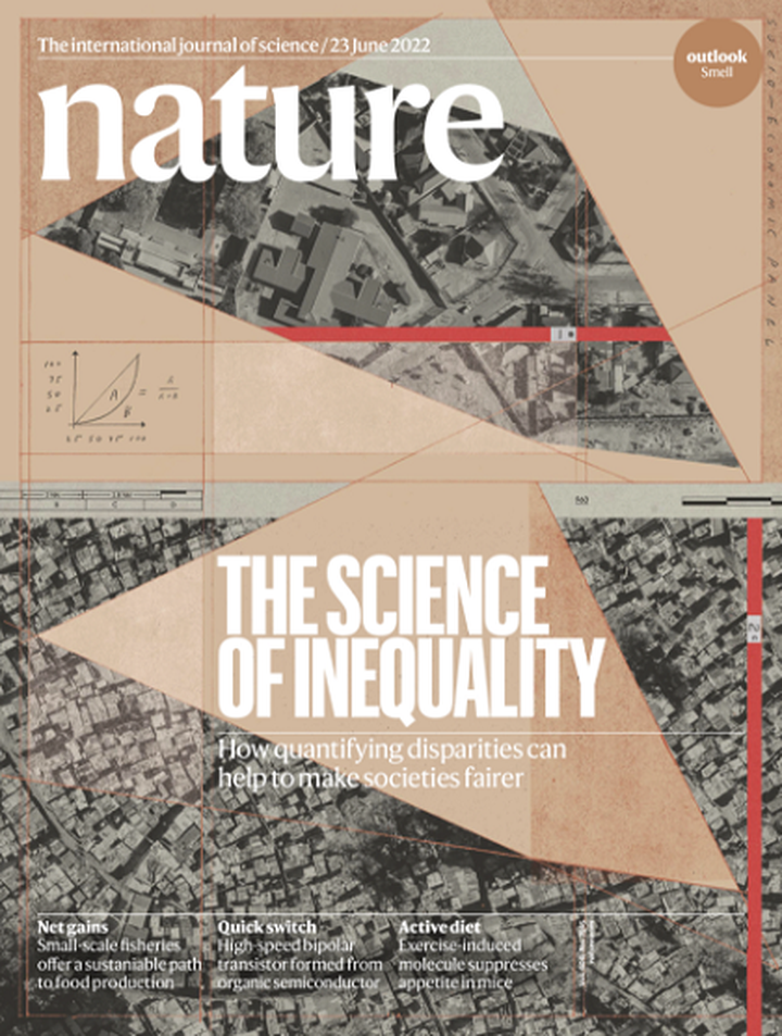 SciNat за июнь 2022 #4: мозг муравьев, социальная изоляция и опухолевые клетки ночью