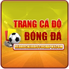 Trang Cá Độ Bóng Đá