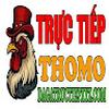 ĐÁ GÀ TRỰC TIẾP XYZ