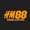 HM88 capital